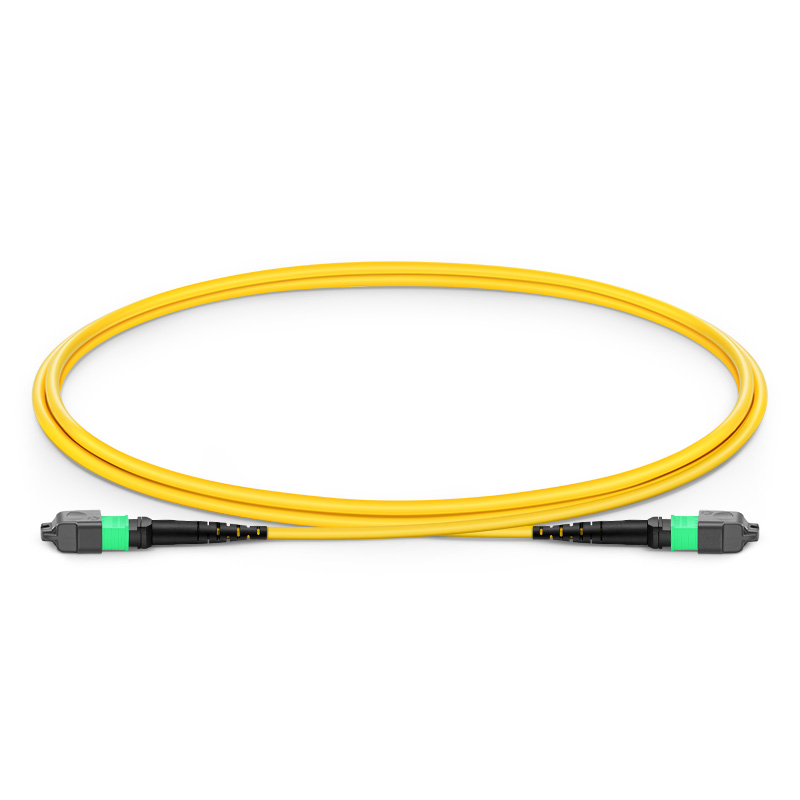 MPO/MTP  Fiber Patch Cords