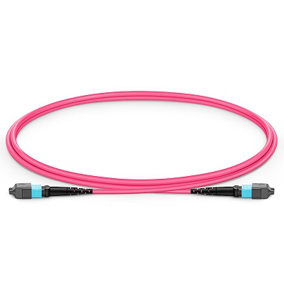 MPO/MTP  Fiber Patch Cords