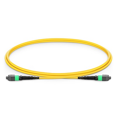 MPO/MTP  Fiber Patch Cords